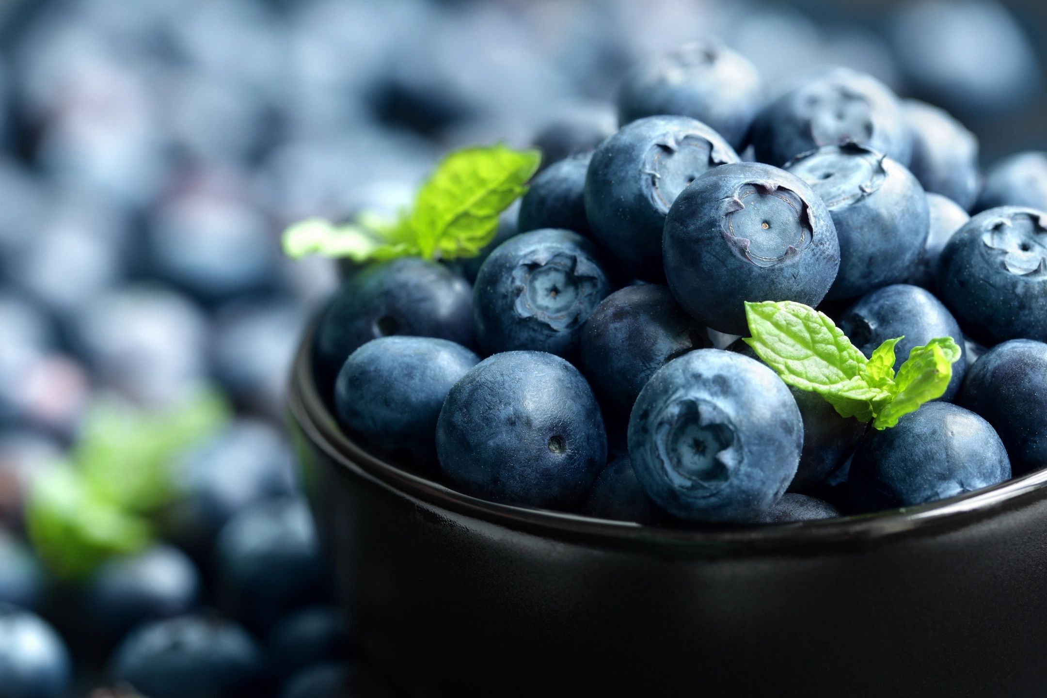 Fresh blueberries in a dark bowl garnished with mint